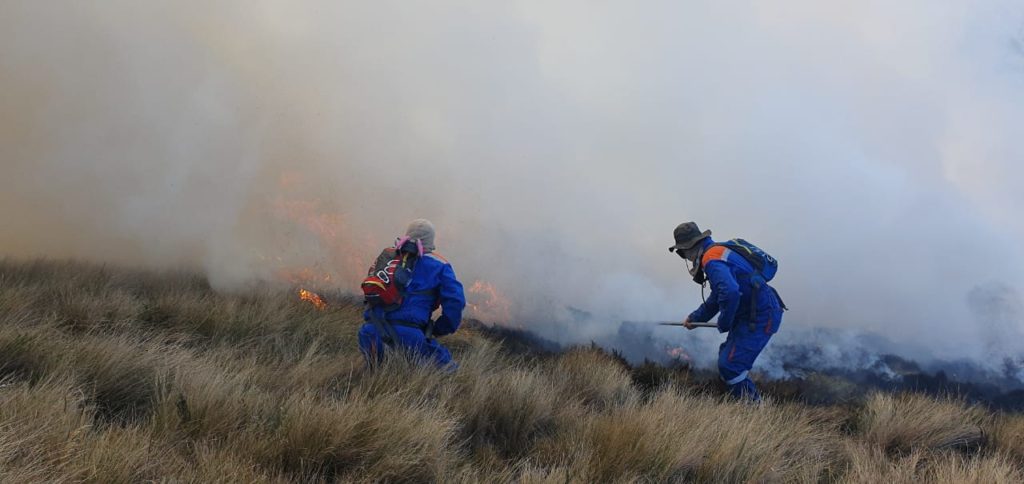 Incendio forestal