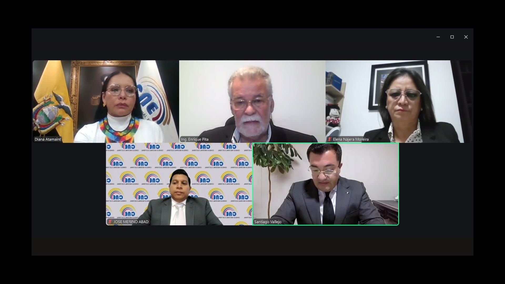 Pleno virtual del CNE