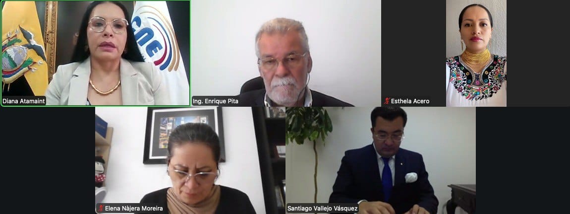 Pleno virtual del CNE